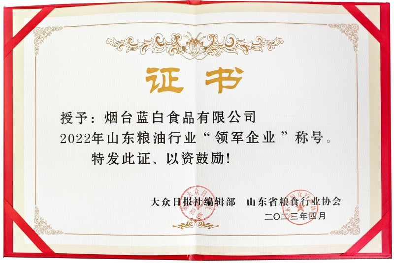 領(lǐng)軍企業(yè)證書1